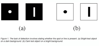 Visual Acuity By Michael Kalloniatis And Charles Luu Webvision