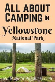 All About Camping In Yellowstone National Park Camping National Nationalparks Park Yellowstone Yellowstone Camping Yellowstone Nationalpark Touren