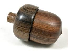 Image result for Guibourtia conjugata