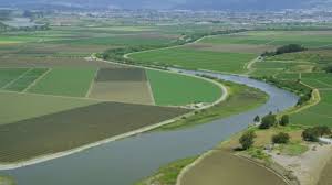 Image result for types of agriculture