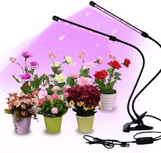 Lightinthebox.com is the online retailer that'll keep you coming back for more. Buy Gardguard Led Grow Lights 20w Dual Head Red Blue Spectrum Plant Lights 40 Led Lamps 9 Dimmable Brightness Plant Lights 3 Switch Modes With Auto On Off 3 9 12h Timing For Plants Extended