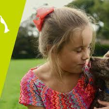 TOP 10 BEST Vets near Camberwell, London, United Kingdom