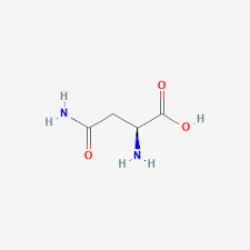 Being polar, asparagine prefers generally to be on the surface of proteins, exposed to an aqueous. Asparagine C4h8n2o3 Pubchem