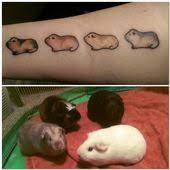 Check spelling or type a new query. Guinea Pig Tattoos