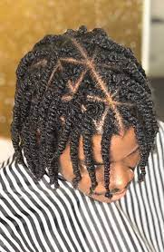 Part the hair into small to medium sized sections and braid or twist hair beginning from the back of the head. 12 Cool Hair Twist Hairstyles For Men In 2021 The Trend Spotter