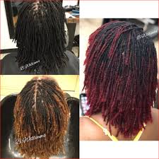 The dye is generally applied in an aqueous solution. Luxury Hair Dye Colors For Dreads Picture Of Hair Color Trends 2021 416411 Hair Color Ideas
