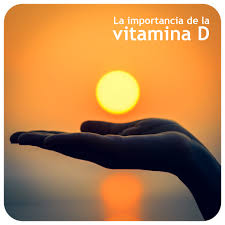 la importancia de la vitamina d