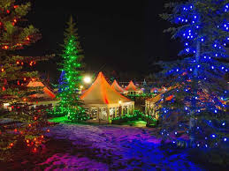 Spruce Meadows Takes On Holiday Glow Christmas Scenery Christmas Tree Outside Christmas Lights