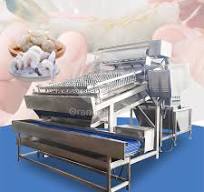 Customizable Capacity Shrimp Peeling Machine for Seafood