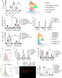 We did not find results for: Sterile Activation Of Invariant Natural Killer T Cells By Er Stressed Antigen Presenting Cells Pnas