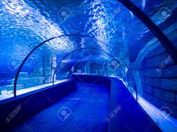 Colorful Saltwater Fish In Antalya Aquarium Turkey Stock Photo Picture And Royalty Free Image Image 73626375
