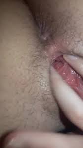 Cuzinho lindo HD phone wallpaper