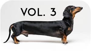 Our dogs are powered by. Doxie Din Bloopers Vol 3 Funny Dachshund Dog Video Youtube
