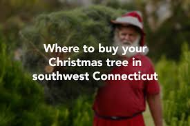 Christmas — cook with gusto. National Christmas Tree Shortage Is No Problem For Connecticut Farms Alton Telegraph