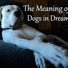 But i'm proud to say that i've completed two games already, dreaming of dana, and life with mary. What Dreams About Dogs Mean And How To Interpret Them Exemplore