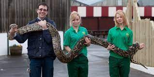 Folly Farm Zoo In Pembrokeshire Folly Farm Zoo Cute Animals