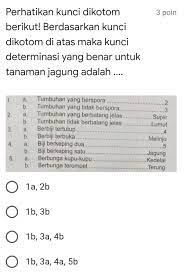 Kunci determinasi tumbuhan dan hewan beserta contoh dan caranya yuk belajar. Tolong Plis Kaka Kaka Soal Kelas 7 Mata Pelajaran Ipa Soalperhatikan Kunci Dikotom Berikut Brainly Co Id