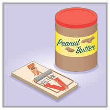 Larger traps are designed to catch other species of animals, such as rats, squirrels, other small rodents, or other animals. 7 Common Mouse Trap Mistakes The Brilliantly Simple Tips That Can Easily Solve Them