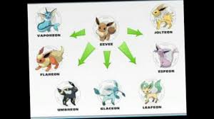 The Pokemon Evolution Chart Youtube