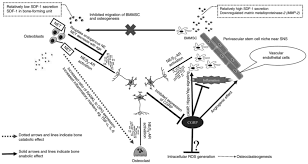 We did not find results for: Neuromodulation Of Bone Role Of Different Peptides And Their Interactions Review