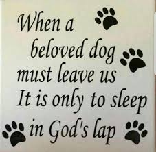 It merely expands the heart. Here Is Another Saying From A Friend Of My Cousins Who S Dog They Had For 15yrs Passed Griefquotes Grief Quotes Pet Loss Quotes Pet Grief Pet Loss Grief