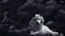 Animiertes foto gif via pinterest.ca. Anime White Wolf Gifs Tenor