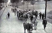 A cause de l'avancée foudroyante des troupes allemandes qui appliquent le « plan schlieffen », l'armée française recule sur près de 200 kilomètres. Cheval Durant La Premiere Guerre Mondiale Wikipedia