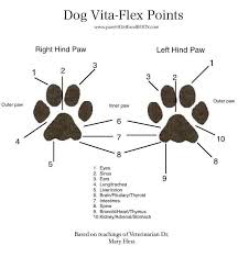 Timeline Photos I Speak For Pitbulls Facebook Atherische Ole Hunde Haustiere Hunde