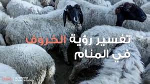 Maybe you would like to learn more about one of these? ØªÙØ³ÙŠØ± Ø­Ù„Ù… Ø§Ù„ÙƒØ¨Ø´ ÙˆØ±Ù…Ø² Ø±Ø¤ÙŠØ§ Ø§Ù„Ø®Ø±ÙˆÙ ÙÙŠ Ø§Ù„Ù…Ù†Ø§Ù…