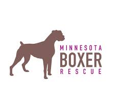 Welcome to tags pet adoption. Pets For Adoption At Minnesota Boxer Rescue In Woodbury Mn Petfinder