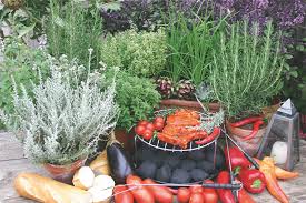 Wer einen garten hat, sollte nicht auf frische kräuter verzichten. Gewurze Krauter Und Gewurzkrauter Krauter Und Gewurze Ratgeber Garten Schluter