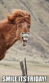 Happy Friday Funny Horses Smiling Animals Happy Animals