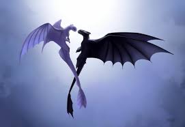 Toothless And Light Fury Wallpapers Top Free Toothless And Light Fury Backgrounds Wallpaperaccess You will receive via email a high. toothless and light fury wallpapers
