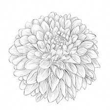 Flower Tattoo For Your Wrist Dahlia Flower Tattoos Flower Wrist Tattoos Dahlia Tattoo