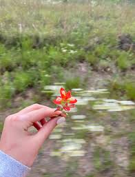 Profile for Designs by Kerry O