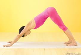 Learn Downward Facing Dog Pose Adho Mukha Svanasana Yoga Poses Advanced Yoga Poses Basic Yoga Poses