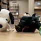 PJ Storytime & Stuffy Sleepover