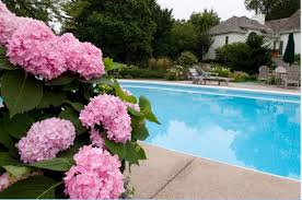 Nobody can deny that magnolia trees in bloom are a glorious sight. 5 Plants For Poolside Planting