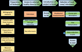 Image result for Pleioceras gilletii