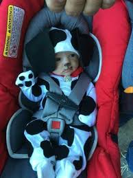 Product title dreamgirl women's dalmatian darling costume set average rating: Costumes Reenactment Theater Infant Baby Dalmatian Puppy Dog Costume Costumes