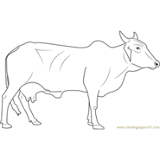 Take a look at our many other coloring pages. Cow Coloring Pages For Kids Printable Free Download Coloringpages101 Com