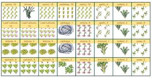 Just toggle on to sfg mode and the app works out exactly how many plants can be grown in each square foot. Planning My Square Foot Garden Layout Grandma S Little Gardens