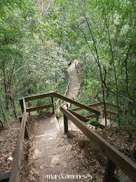 Macuiltepetl Volcan Y Parque Ecologico Localizado Justo Al Centro De La Ciudad Xalapa Veracruz Xalapa Paisajes Lugares Para Viajar