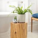 7 Air-Purifying Shower Plants That Keep Your Bathroom Fresh | Allure