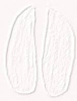 Under bronsåldern blir kopparexporten viktig för cypern. Djurspar I Sno Naturhistoriska Riksmuseet