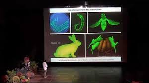 Du samedi 3 août au vendredi 9 août, le festival d'astronomie de fleurance se déclinera de la façon suivante : Festival D Astronomie De Fleurance 2017 Youtube