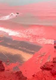 Flowing red blood' in Iran sea sparked biblical plague fears months before  war - The Mirror US