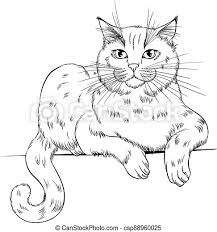 Still have a lot of improvement to make on cats. Lying British Shorthair Cat Line Art Lying Cat Breed British Shorthair Line Art Vector Illustration Suitable For Coloring Canstock