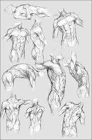 One of my drawing drills were taken of the art of @_just_shep, please check it out. Anatomy Practise By Khaoskai On Deviantart Anatomy Art Anatomy Sketches Anatomy Drawing