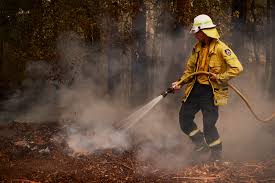 Professor griffiths says the black saturday bushfires of 2009 show we forgot some of the lessons the fire stick is a point of great continuity in australian history, and i hope australians can find a. How To Help Victims Of The Australia Bushfires